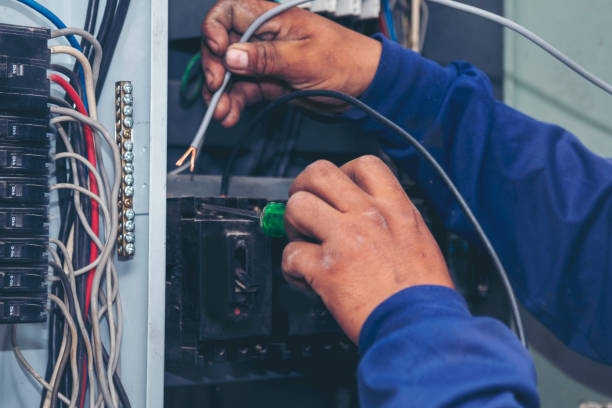 Best Electric Panel Repair  in Collinsvle, IL