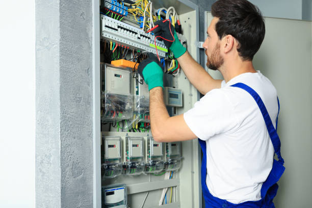 Best Electrician for Home Renovation  in Collinsvle, IL