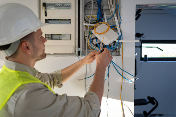 Best Electrical System Inspection  in Collinsvle, IL